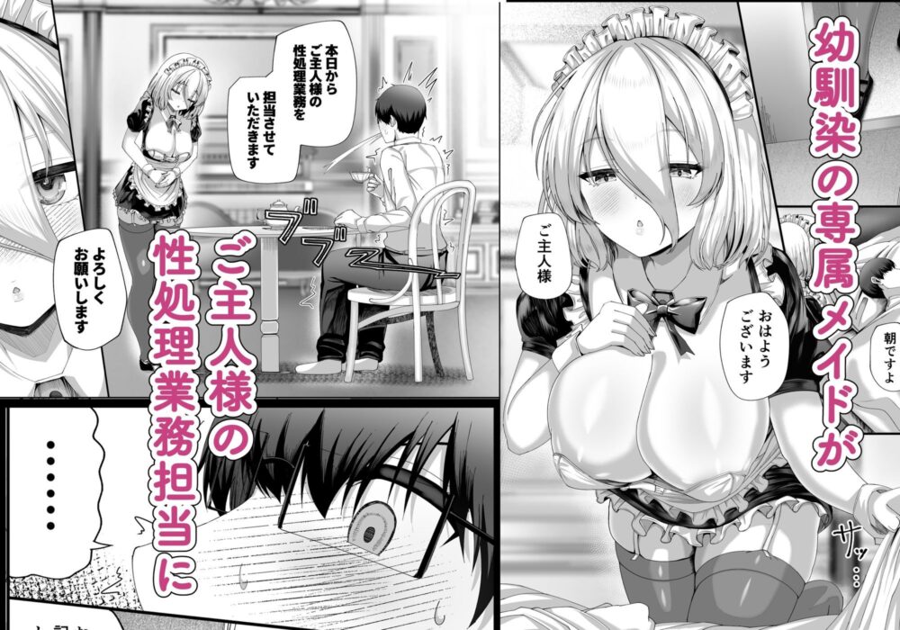 オスになるには都合の良いメイド 画像1
