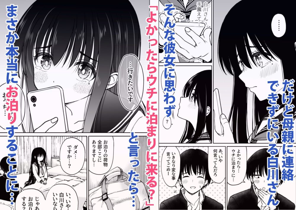 裏修学旅行日記〜青春できない僕らの、秘密の2泊3日〜 画像2